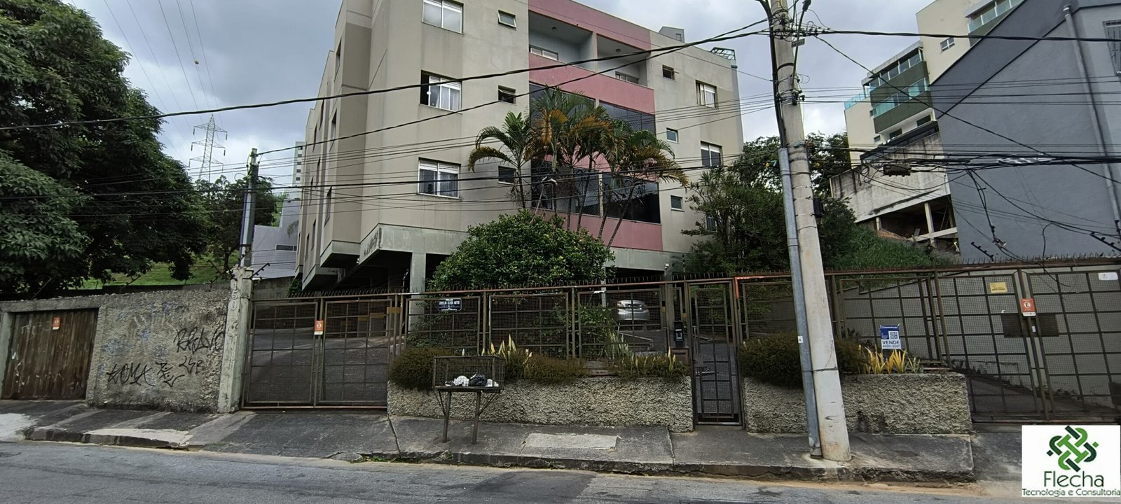 Cordelina-Matos3F